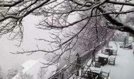爆料下雪了视频大全播放,下雪了视频大全火爆播放，捕捉雪景之美