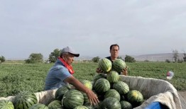 娱乐713吃瓜最新入口,最新入口带你一网打尽娱乐圈风云