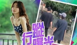 秦岚爆料了什么节目视频,精彩瞬间引网友热议